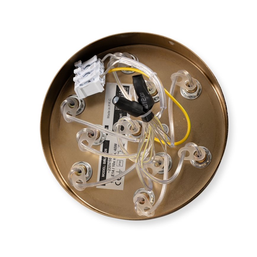 Brilagi - GLOBE pakaramā lustra uz troses 10xE14/15W/230V balta