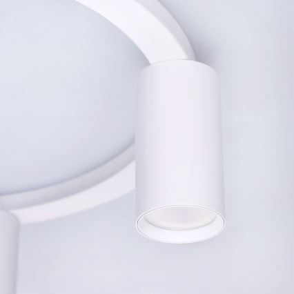 BRILAGI - Griestu gaismeklis SELE 4xGU10/30W/230V balts