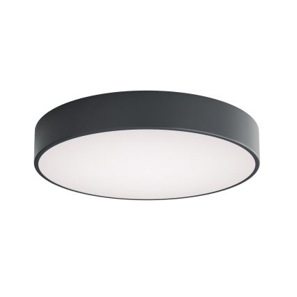 BRILAGI - Griestu gaismeklis vannas istabai ar kustības un krēslas sensoru CLARE 4xE27/24W/230V Ø 50 cm antracīts IP54