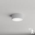 Brilagi - Griestu lampa ar sensoru CLARE 1xE27/40W/230V d. 20 cm pelēka