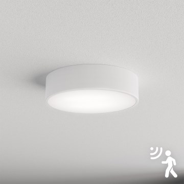 Brilagi - Griestu lampa ar sensoru CLARE 2xE27/40W/230V d. 30 cm balta