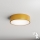 Brilagi - Griestu lampa ar sensoru CLARE 2xE27/40W/230V d. 30 cm zelta