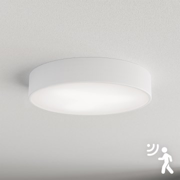 Brilagi - Griestu lampa ar sensoru CLARE 3xE27/40W/230V d. 40 cm balta
