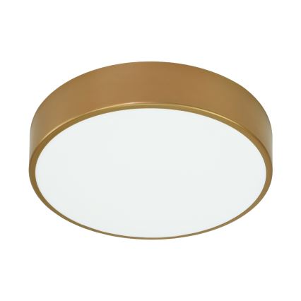 Brilagi - Griestu lampa ar sensoru CLARE 3xE27/40W/230V d. 40 cm zelta