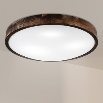 Brilagi - Griestu lampa CARVALHO SLIM SMOKEY 3xE27/60W/230V ozolkoka Ø 47,5 cm