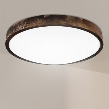 Brilagi - Griestu lampa CARVALHO SMOKEY 3xE27/60W/230V ozola Ø 47,5 cm