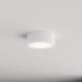 Brilagi - Griestu lampa CLARE 1xE27/40W/230V d. 20 cm balta