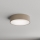 Brilagi - Griestu lampa CLARE 2xE27/40W/230V d. 30 cm bēša