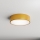 Brilagi - Griestu lampa CLARE 2xE27/40W/230V d. 30 cm zelta