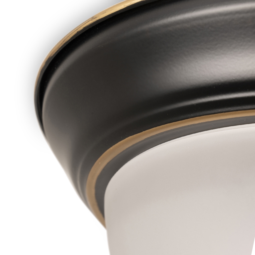 BRILAGI - Griestu lampa FRESCO 2xE27/40W/230V Ø 28 cm melna/zelta