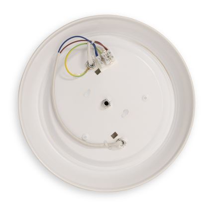 BRILAGI - Griestu lampa FRESCO 2xE27/40W/230V Ø 28 cm zelta