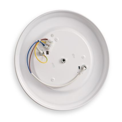 BRILAGI - Griestu lampa FRESCO 2xE27/40W/230V Ø 30 cm, zelta krāsā