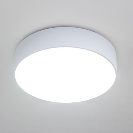 BRILAGI - Griestu lampa POOL 4xE27/15W/230V pr. 50 cm IP54 balta
