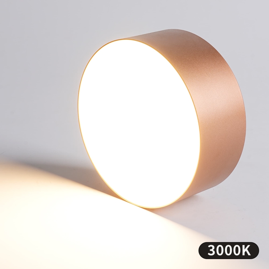 BRILAGI - Vannas istabas griestu lampa FORIS LED/20W/230V Ø 15 cm bronzas IP44 CRI 90