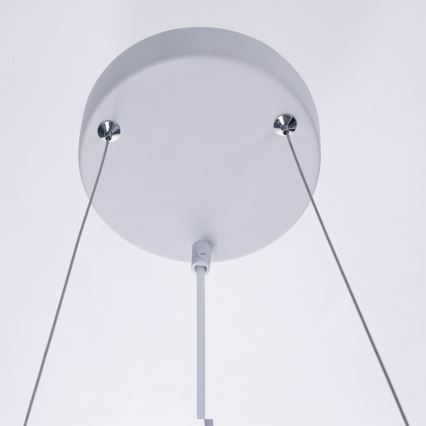 BRILAGI - Griestu lustra uz troses SELE 6xGU10/30W/230V balta