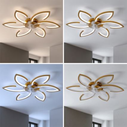 Brilagi - Griestu ventilators ar regulējamu LED apgaismojumu, LED/34W/230V, 3000–6500K, Ø 78 cm, zelta + tālvadība
