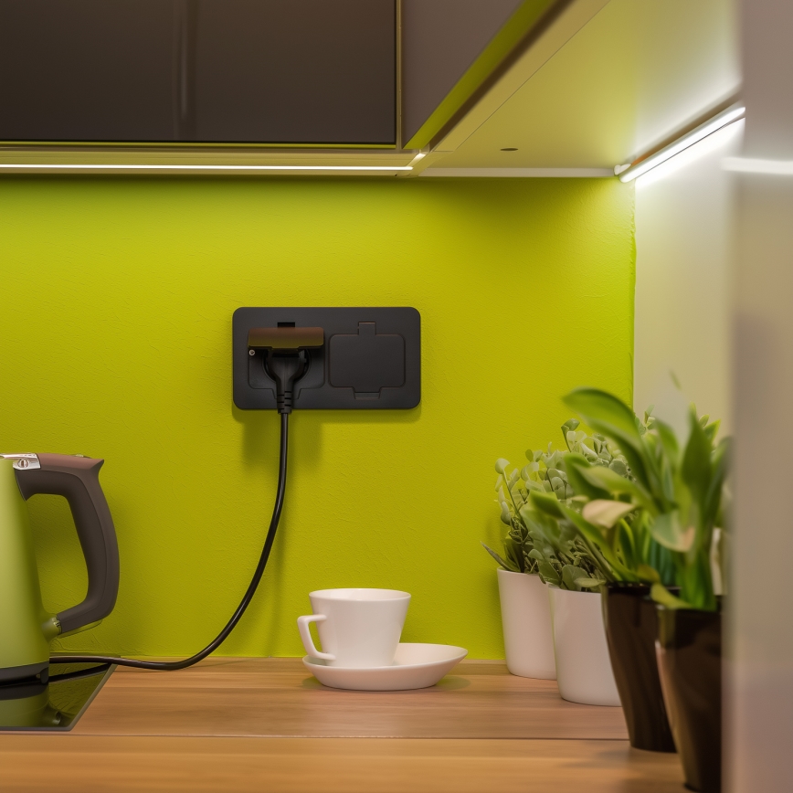 Brilagi - iebūvējama āra grīdas dubultkontaktligzda IP55, melna, taisnstūra