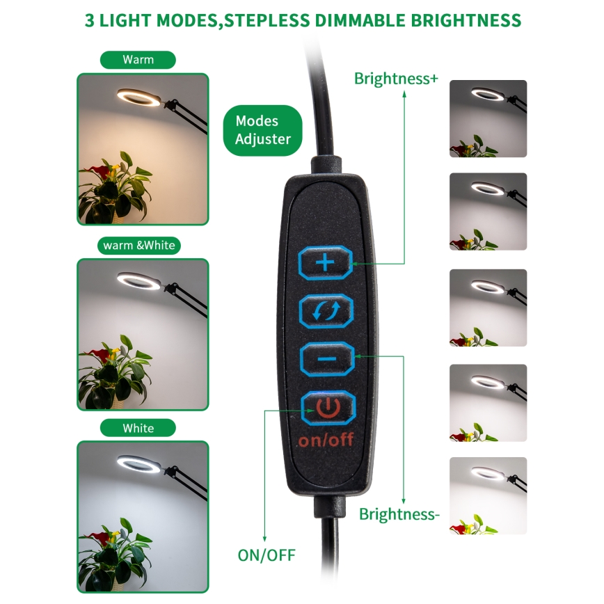 Brilagi - LED Aptumšojama galda lampa ar palielināmo stiklu LENS LED/12W/5V 3000/4200/6000K melna