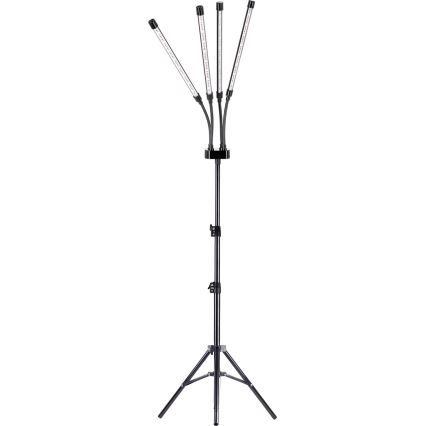 Brilagi - LED Aptumšojama pielāgojama grīdas stāvlampa augu audzēšanai VITABLOOM 4xLED/7,5W/230V melna