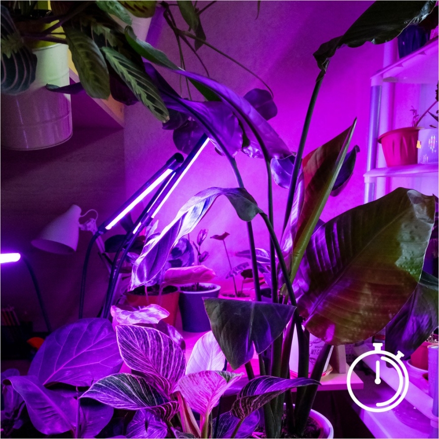 Brilagi - LED Aptumšojama pielāgojama grīdas stāvlampa augu audzēšanai VITABLOOM 4xLED/7,5W/230V melna
