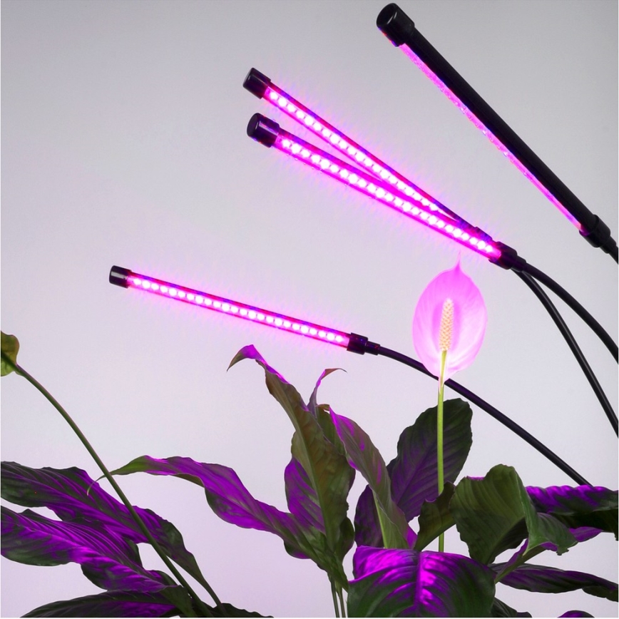 Brilagi - LED Aptumšojama pielāgojama grīdas stāvlampa augu audzēšanai VITABLOOM 4xLED/7,5W/230V melna