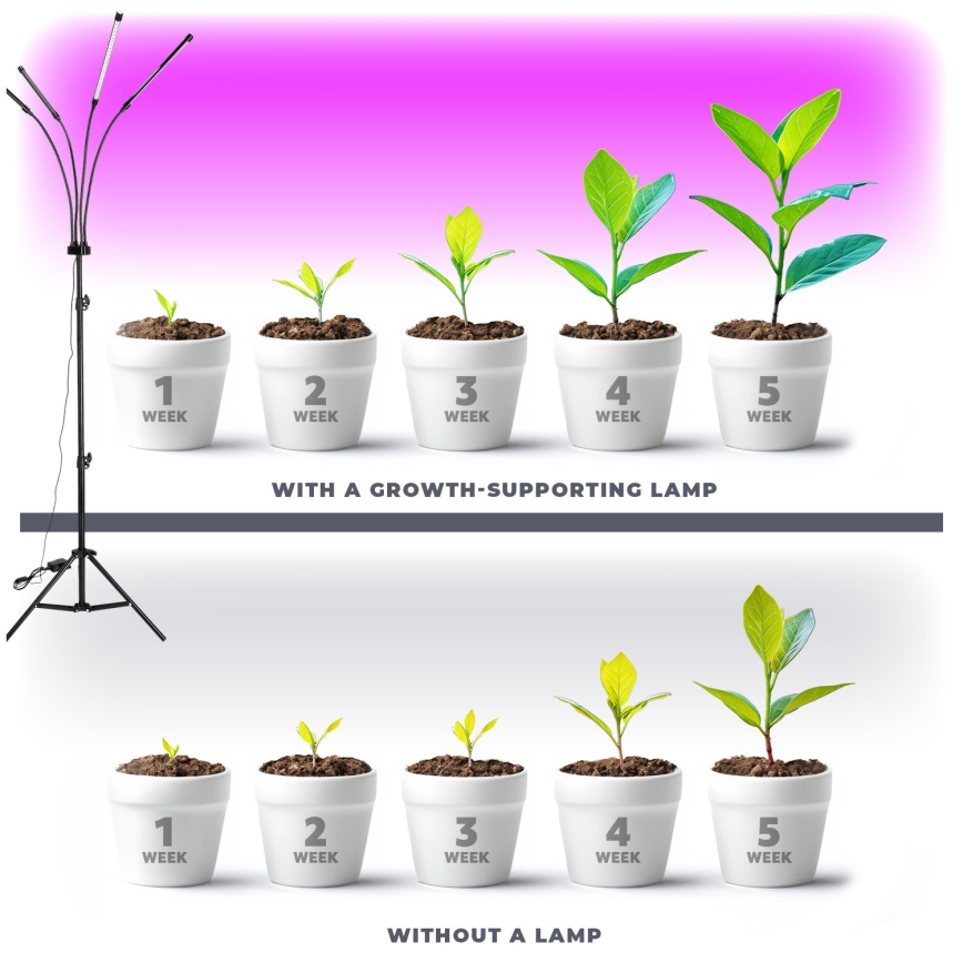 Brilagi - LED Aptumšojama pielāgojama grīdas stāvlampa augu audzēšanai VITABLOOM 4xLED/7,5W/230V melna