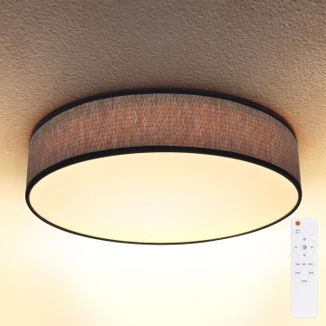 Brilagi - LED Aptumšojama griestu lampa ADELA LED/48W/230V 3000-6500K d. 40 cm + tālvadības pults