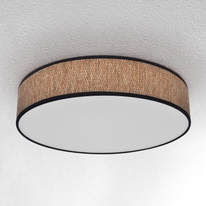 Brilagi - LED Aptumšojama griestu lampa ADELA LED/48W/230V 3000-6500K d. 40 cm + tālvadības pults