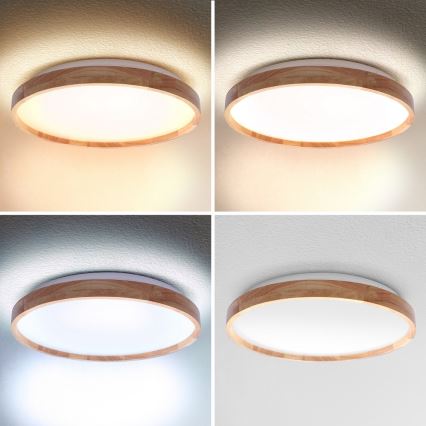 Brilagi - LED Aptumšojama griestu lampa ALSON LED/48W/230V 3000-6500K ozols d. 39,5 cm + tālvadības pults