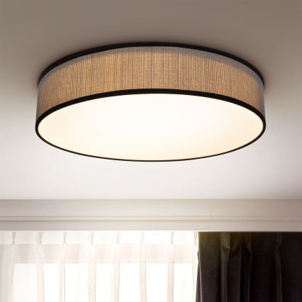 Brilagi - LED Aptumšojama griestu lampa AURORA LED/48W/230V 3000-6500K d. 40 cm + tālvadības pults