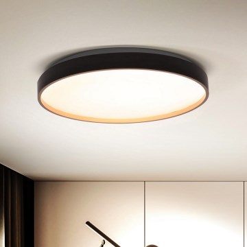 Brilagi - LED Aptumšojama griestu lampa CALA LED/48W/230V 3000-6500K d. 38 cm + tālvadības pults