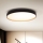 Brilagi - LED Aptumšojama griestu lampa CALA LED/48W/230V 3000-6500K d. 38 cm + tālvadības pults