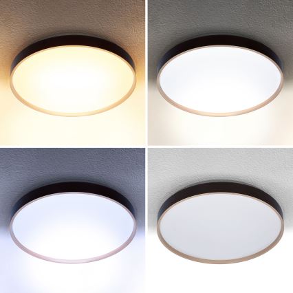 Brilagi - LED Aptumšojama griestu lampa CALA LED/48W/230V 3000-6500K d. 38 cm + tālvadības pults