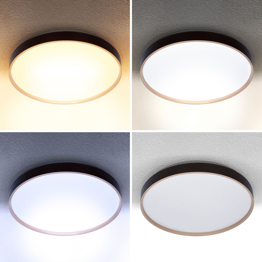 Brilagi - LED Aptumšojama griestu lampa CALA LED/48W/230V 3000-6500K d. 38 cm + tālvadības pults