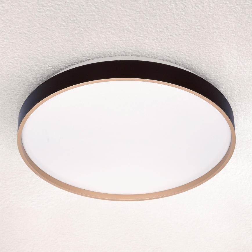 Brilagi - LED Aptumšojama griestu lampa CALA LED/48W/230V 3000-6500K d. 38 cm + tālvadības pults