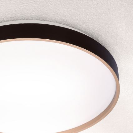 Brilagi - LED Aptumšojama griestu lampa CALA LED/48W/230V 3000-6500K d. 38 cm + tālvadības pults
