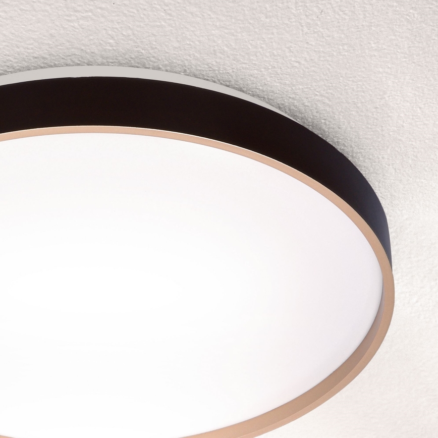 Brilagi - LED Aptumšojama griestu lampa CALA LED/48W/230V 3000-6500K d. 38 cm + tālvadības pults