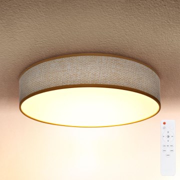 Brilagi - LED Aptumšojama griestu lampa CARMEN LED/48W/230V 3000-6500K d. 40 cm + tālvadības pults