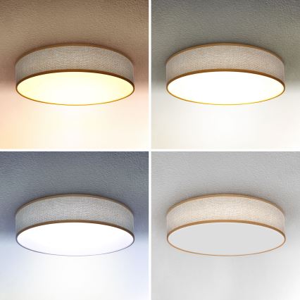 Brilagi - LED Aptumšojama griestu lampa CARMEN LED/48W/230V 3000-6500K d. 40 cm + tālvadības pults