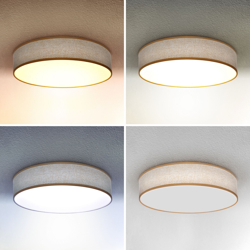 Brilagi - LED Aptumšojama griestu lampa CARMEN LED/48W/230V 3000-6500K d. 40 cm + tālvadības pults