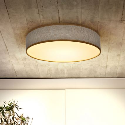 Brilagi - LED Aptumšojama griestu lampa CARMEN LED/48W/230V 3000-6500K d. 40 cm + tālvadības pults