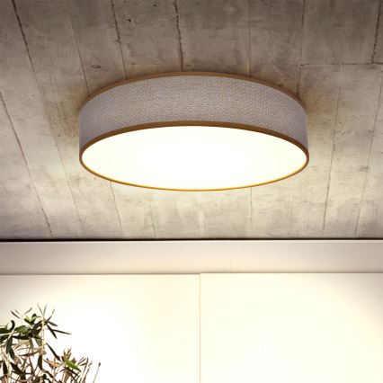 Brilagi - LED Aptumšojama griestu lampa CARMEN LED/48W/230V 3000-6500K d. 40 cm + tālvadības pults