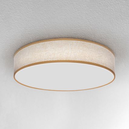 Brilagi - LED Aptumšojama griestu lampa CARMEN LED/48W/230V 3000-6500K d. 40 cm + tālvadības pults