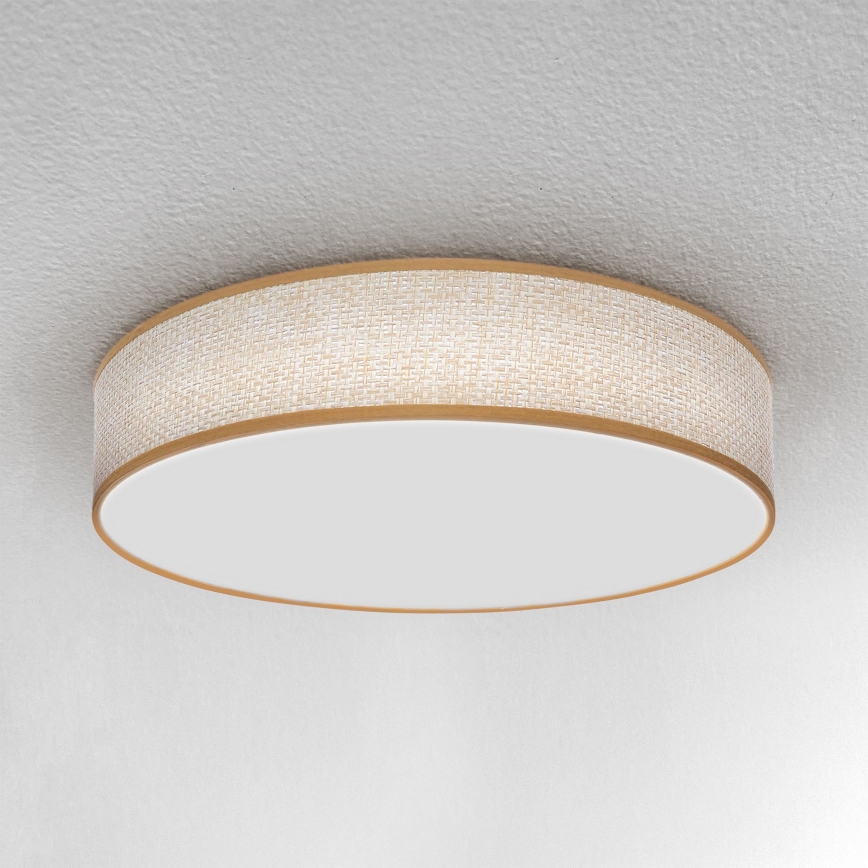 Brilagi - LED Aptumšojama griestu lampa CARMEN LED/48W/230V 3000-6500K d. 40 cm + tālvadības pults