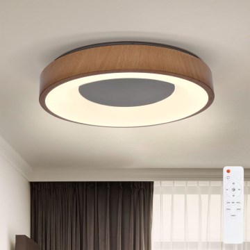 Brilagi - LED Aptumšojama griestu lampa DORIA LED/48W/230V 3000-6500K d. 39 cm + tālvadības pults