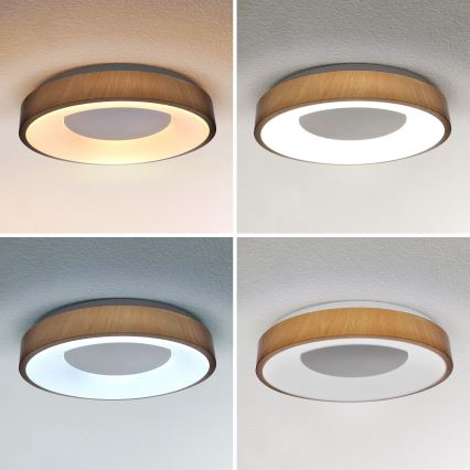 Brilagi - LED Aptumšojama griestu lampa DORIA LED/48W/230V 3000-6500K d. 39 cm + tālvadības pults
