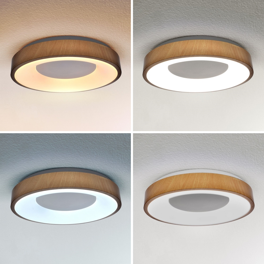 Brilagi - LED Aptumšojama griestu lampa DORIA LED/48W/230V 3000-6500K d. 39 cm + tālvadības pults