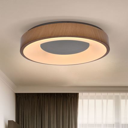 Brilagi - LED Aptumšojama griestu lampa DORIA LED/48W/230V 3000-6500K d. 39 cm + tālvadības pults