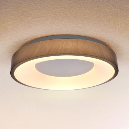 Brilagi - LED Aptumšojama griestu lampa DORIA LED/48W/230V 3000-6500K d. 39 cm + tālvadības pults