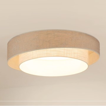 Brilagi - LED Aptumšojama griestu lampa DOVER SHINE LED/24W/230V 3000/4000/6500K pelēka/krēmkrāsa + tālvadības pults